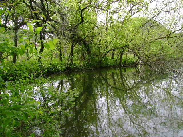pond