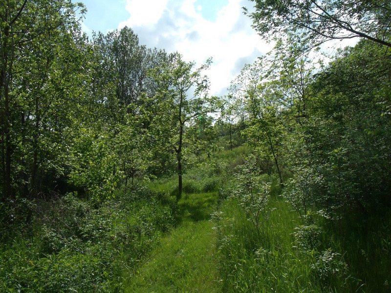 hillpath